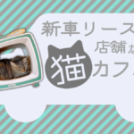 佐賀に新しく猫カフェがOPEN！！