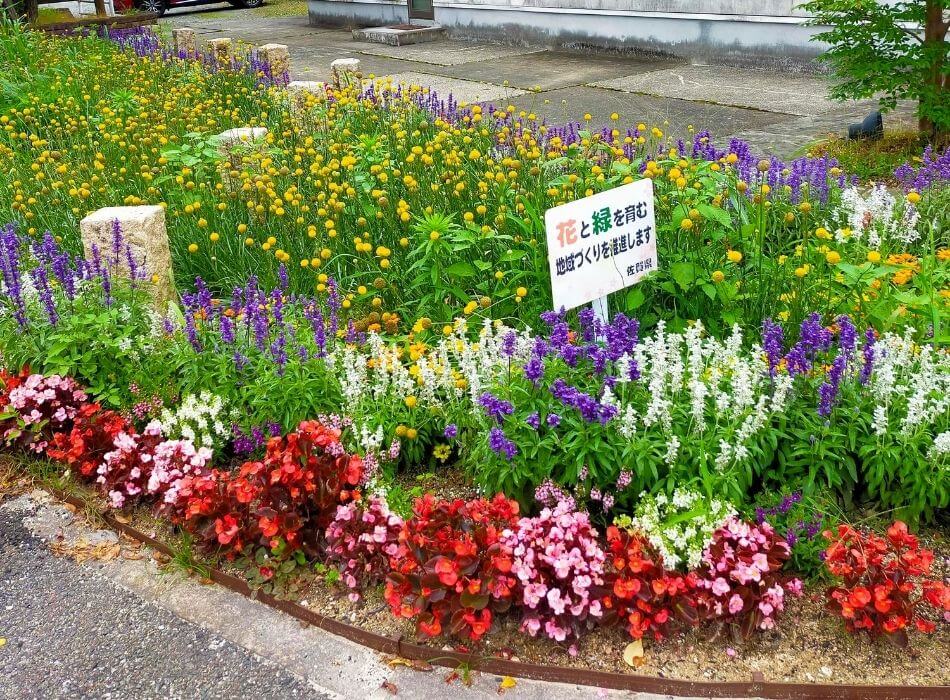 佐賀 観光 アニメ ゾンビランドサガ デザインマンホール巡り Miranne Saga