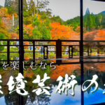 佐賀県唐津市「環境芸術の森」の紅葉に魅了される